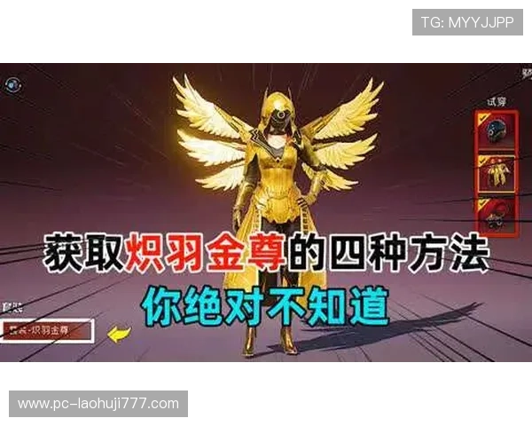 和平精英tt官网账号安全保护措施及防止封号的方法