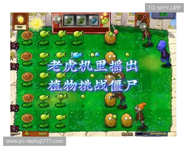 多财多福老虎机单机版游戏特色介绍，丰富的游戏场景和多样的奖励机制